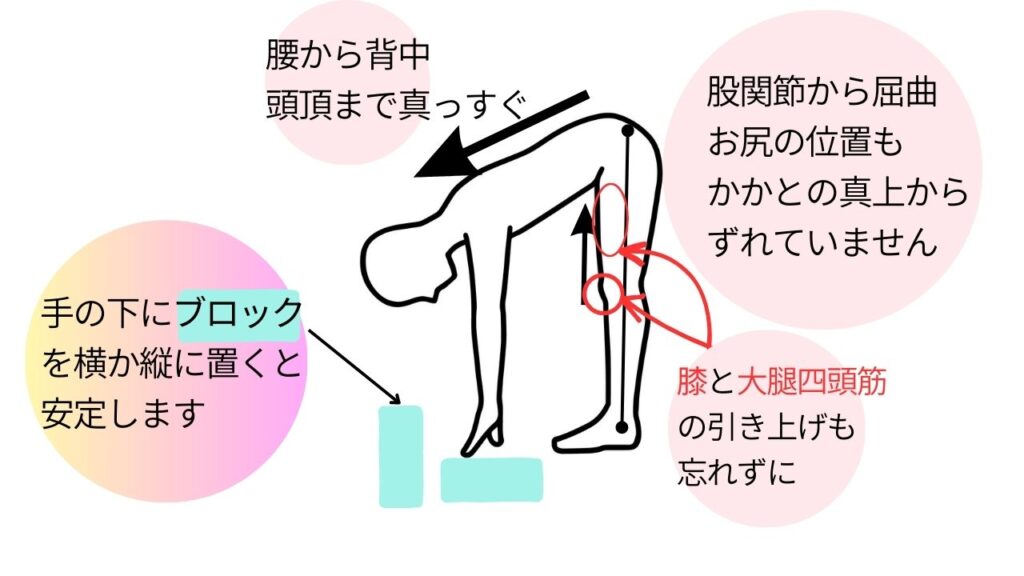 アルダウッターナーサナの正しいベクトルの方向の説明