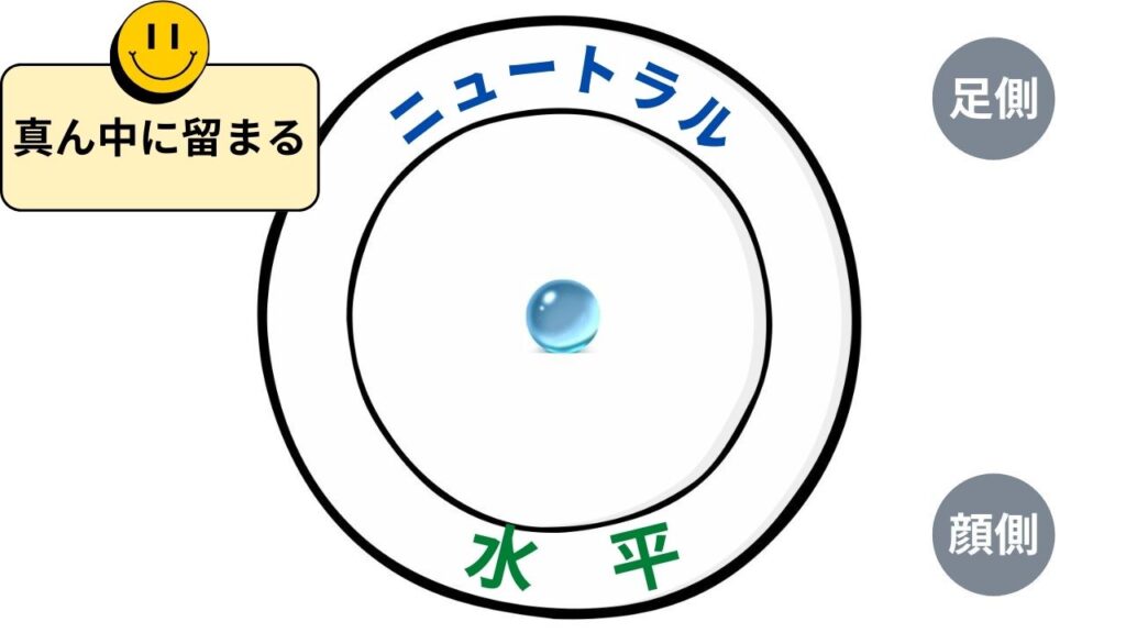 お腹の面をお皿に例えてビー玉を乗せたニュートラル