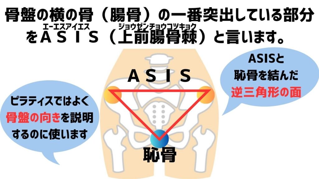 ASIS（上前腸骨棘）と恥骨を結んだ逆三角形