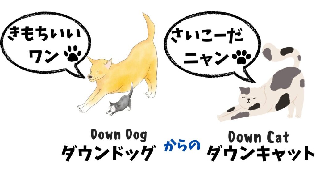 ダウンドッグする犬と猫