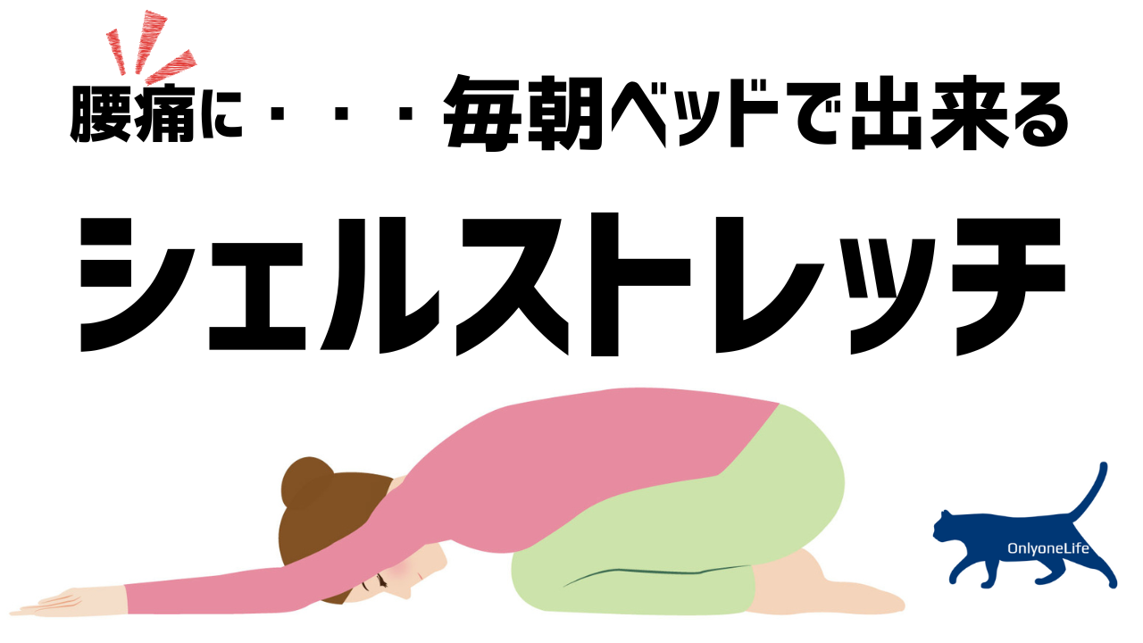 腰痛にシェルストレッチ