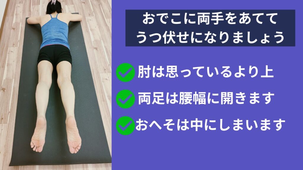 うつ伏せになり、脚を腰幅に開く